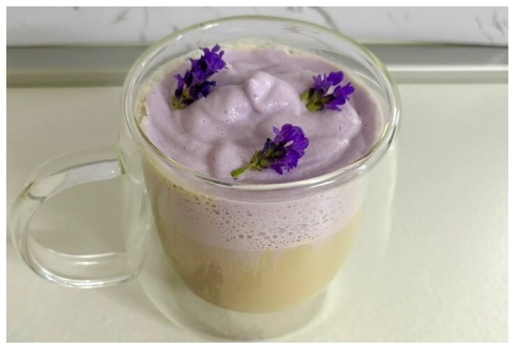 lavender cold foam recipe