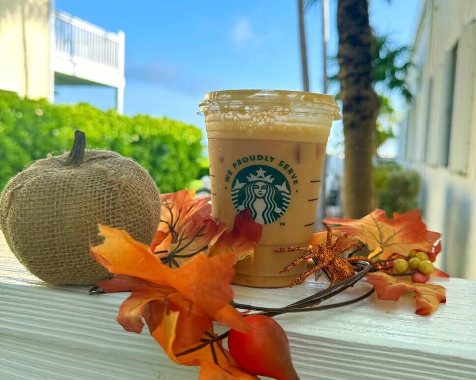 Best starbucks pumpkin drinks
