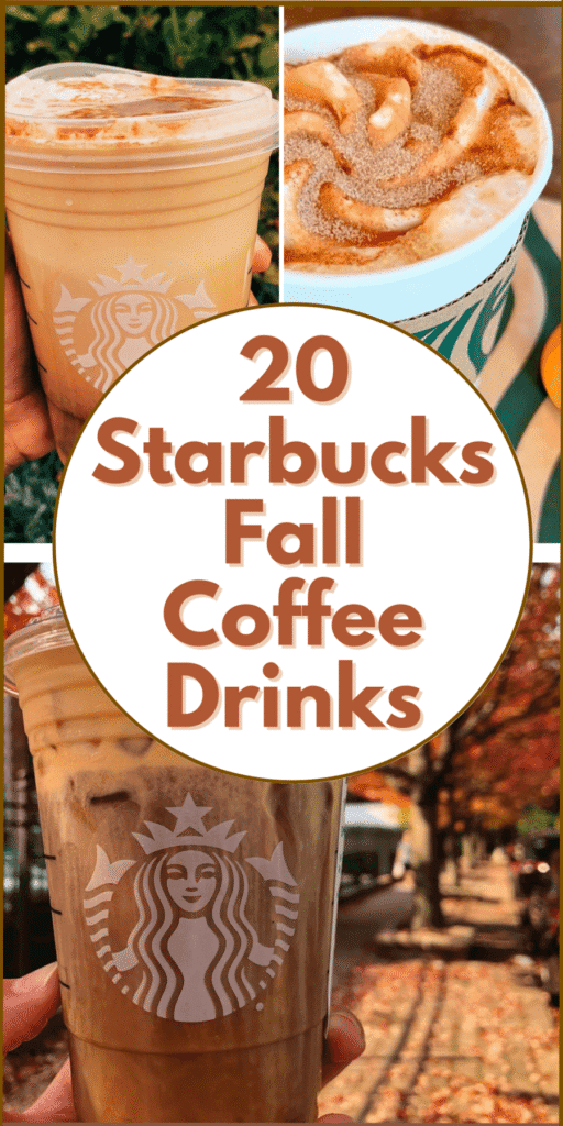 Starbucks fall coffee drinks