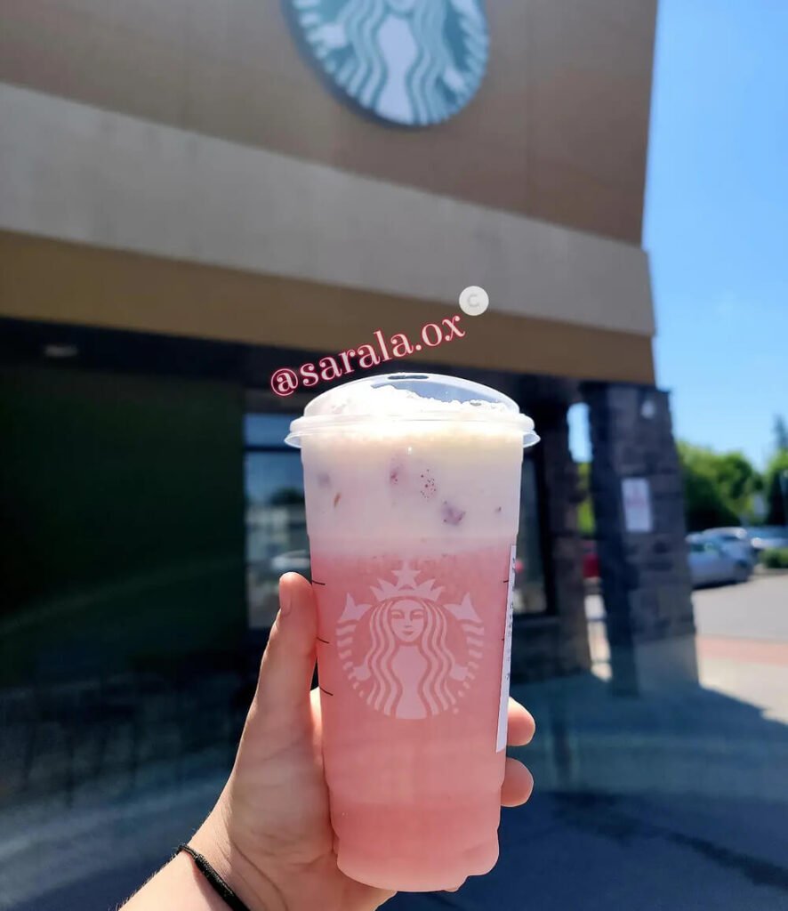 starbucks cold foam drinks
